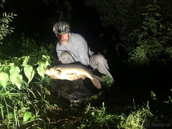 Zahrada u řeky Labe - 3