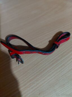 Červený nanosňík - 3