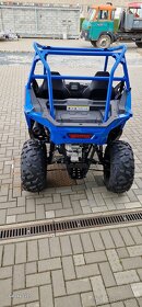 POLARIS RZR 200 TLD - 3