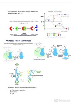 🧪 Vypracované maturitní otázky z chemie – 25 témat (PDF) - 3