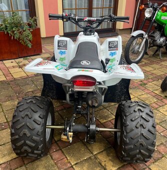 Dětská čtyřkolka Access DRR 100 REVERSE - 3