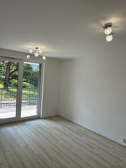 Pronájem bytu 1kk s balkonem - 3
