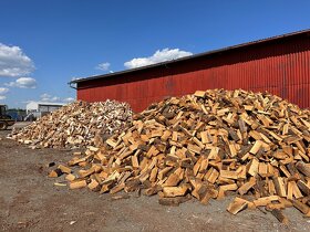 Palivové dřevo od 1050kč/prms - 3