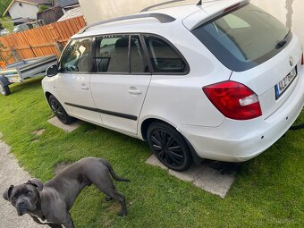 Škoda Fabia 2 1.4 tdi - 3