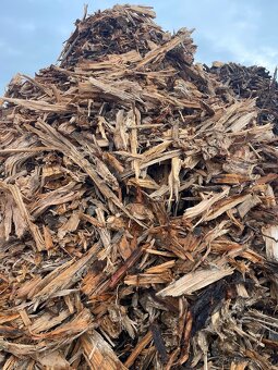 Dřevní drť z pařezů - 3