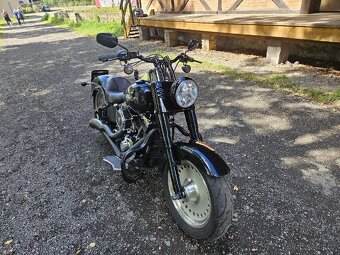 HARLEY DAVIDSON FAT BOY FLSTF 96cu 2007 EU - 3