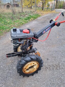 Tera vari dsk 317 - 3