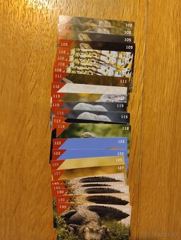 Animal kingdom - kartičky - 3