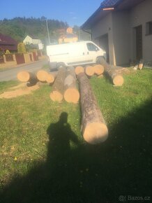 dřevo celé dřevěné kmeny - 3