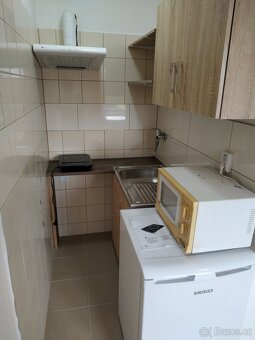 Pronájem bytu 1+kk 25 m2 Dobrotice - 3