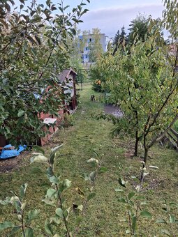 Prodam zahradu Krupka Nad plovarnou - 3