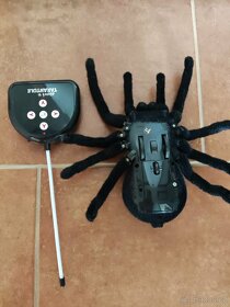 Prodám děsivou tarantuli - 3