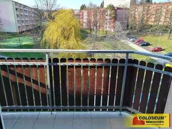 Uherský Brod, pronájem bytu OV 1+kk, 31 m2, lodžie, rekonstr - 3