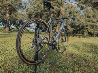 Superior X-Road Team Elite - 3