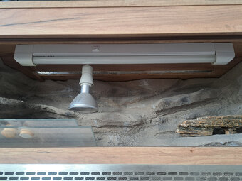 Terarium pro Agamu - 3
