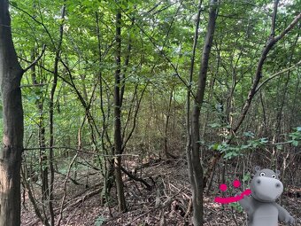 Prodej louky 40 558 m², Podkopná Lhota, ev.č. 58704 - 3