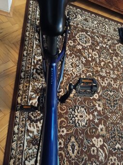 Scott Contessa rigid 24 - 3