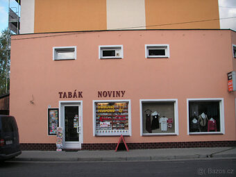 Pronájem Lovosice - 3