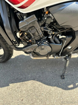 Honda CB600 F Hornet - 3