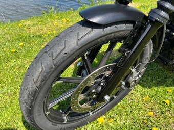 Harley-Davidson XL 883N Sportster Iron - 3