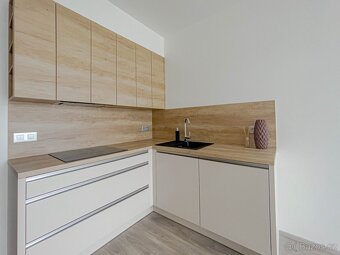 Pronájem 1+kk s balkónem a garáží - 3