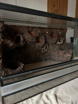 Prodám Terária - 3