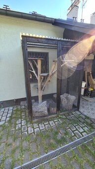 Voliéra pro kočky a jiné - 3