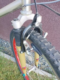 Marin Team Issue XTR 20" - 3