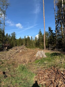 Prodej lesního pozemku v k.ú.Domašín okr.Vlašim - 3