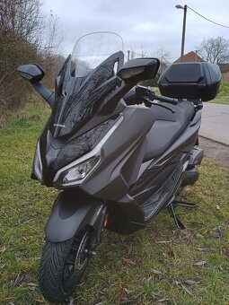 Honda forza - 3