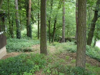 Stavební pozemek, Chata - 3