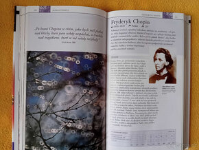 Klasická hudba - John Burrows - 528 stran - 3