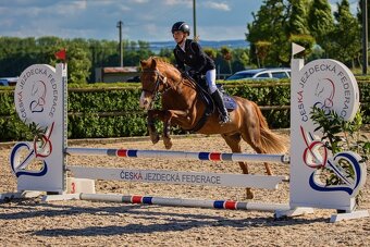 Sportovní pony kategorie A - PRODÁN - 3