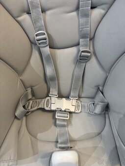 Dětská židlička Peg Perego Prima Pappa & TS bryndak - 3