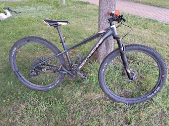 Rock Machine junior Blizz 27 HD - 3