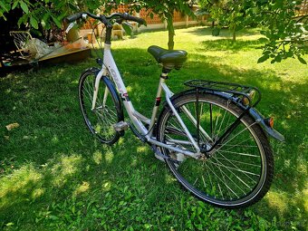 Damske hlinikove kolo Giant 28 - 3