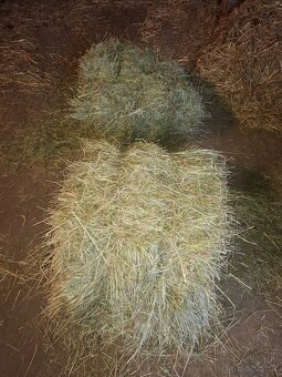 Seno malé balíky - 3