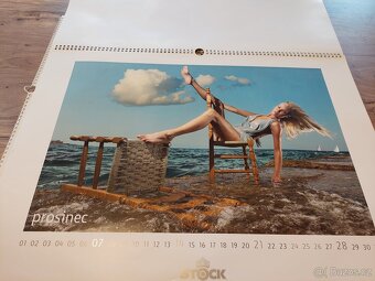 NÁSTĚNNÉ KALENDARE ROK 2008 a 2009 - 3