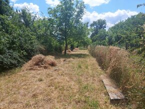 Prodám zahradu v Brně v Obřanech 496 m2 - 3