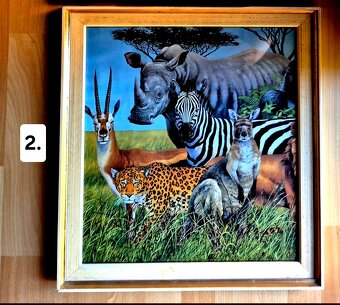 Obrazy divokých zvířat - 3