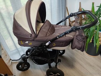 DorJan Butterfly - 3