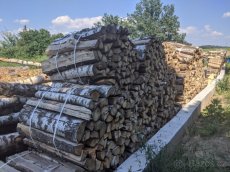 Palivové dřevo bříza Prachatice - 3