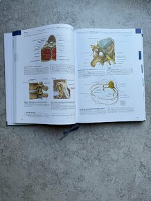Sobotta Atlas of Human Anatomy / Atlas lidské anatomie - 3