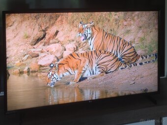 Smart LG 4K 126cm WiFi, YouTube, Netflix, oneplay, - 3