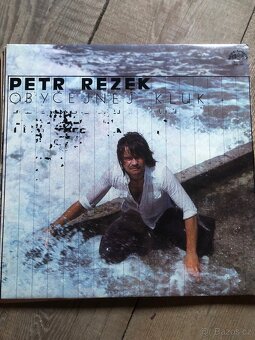 LP/SP desky Gott,Rezek,Laufer,Zelenková - 3