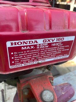 Honda GXV 160 , Vari - Terra - 3