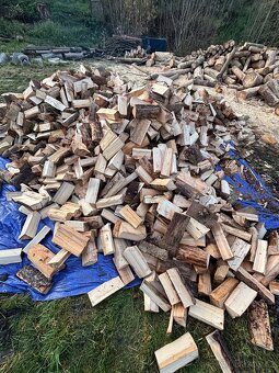 Palivové dřevo - 3