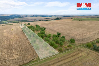 Prodej ovocného sadu, 5202 m², Kralupy nad Vltavou - 3