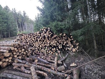 Dřevěná tyčovina - 3