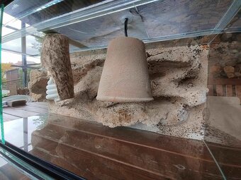 Velké terárium - 3